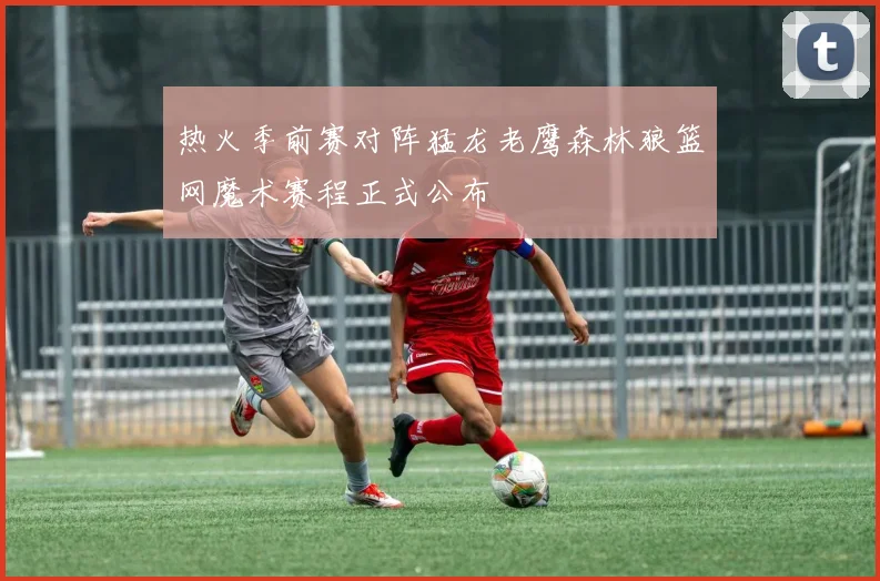 热火季前赛对阵猛龙老鹰森林狼篮网魔术赛程正式公布
