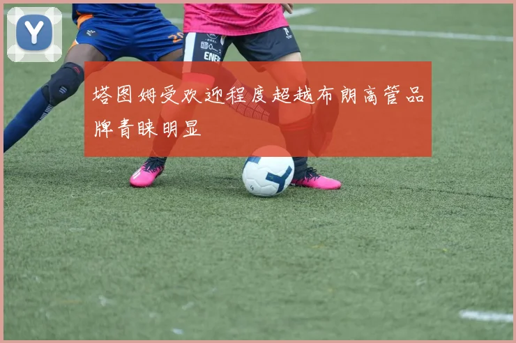 塔图姆受欢迎程度超越布朗高管品牌青睐明显